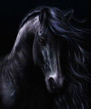 Carregar imagem no visualizador da galeria, Cavalo Preto - 100% Diamantes (Kit Completo)
