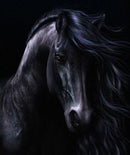 Cavalo Preto - 100% Diamantes (Kit Completo)