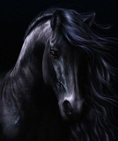 Cavalo Preto - 100% Diamantes (Kit Completo)