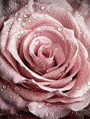Flor Rosa - 100% Diamantes (Kit Completo)
