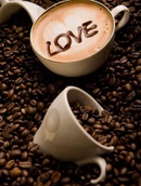 Sabor de Café 14 - 100% Diamantes (Kit Completo)