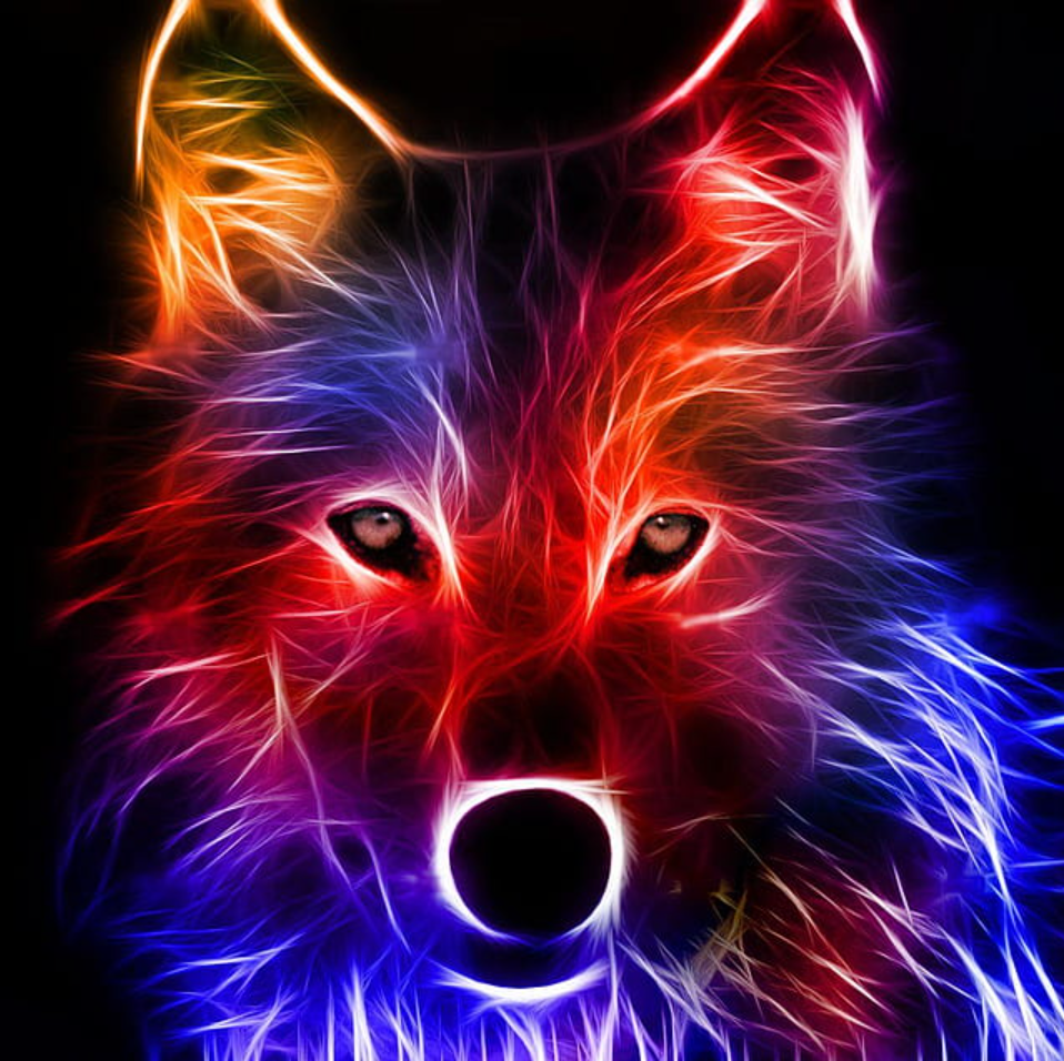 Lobo Colorido - 100% Diamantes (Quadrado) - Kit Completo