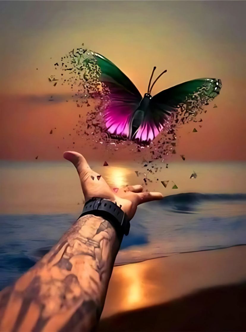 A Liberdade da Borboleta - 100% Diamantes (Kit Completo) - Pintura com Diamantes