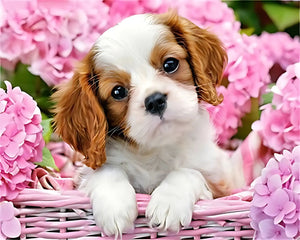 Cão e as Flores - 100% Diamantes (Kit Completo)