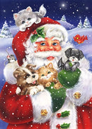Papai Noel 13 - 100% Diamantes (Kit Completo)