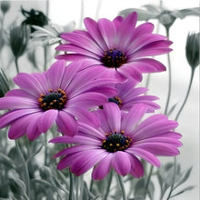 Carregar imagem no visualizador da galeria, Flores 22 - 100% Diamantes (Kit Completo)
