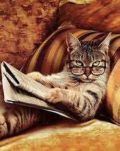 Carregar imagem no visualizador da galeria, Gato Leitor - 100% Diamantes (Kit Completo)
