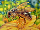 Abelha e a Flor - 100% Diamantes (Kit Completo) - Pintura com Diamantes
