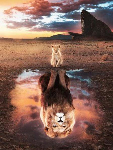 Reflexo dos Animais 3 - 100% Diamantes (Kit Completo)