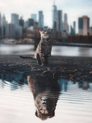 Reflexo dos Animais 5 - 100% Diamantes (Kit Completo)