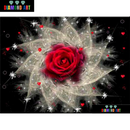 Flor Estrelar - 100% Diamantes (Kit Completo)