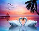 Cisne - 100% Diamantes (Kit Completo)