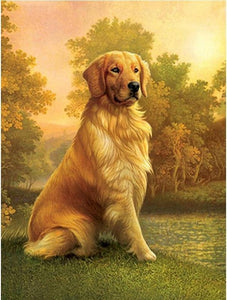 Golden Retriever - 100% Diamantes (Kit Completo)