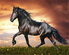 Carregar imagem no visualizador da galeria, Cavalo Majestoso - 100% Diamantes (Kit Completo)
