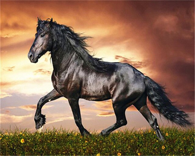 Cavalo Majestoso - 100% Diamantes (Kit Completo)