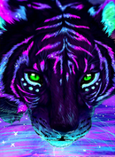 Tigre 2 - 100% Diamantes (Quadrado) - Kit Completo