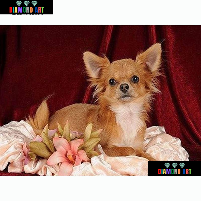 Chihuahua - 100% Diamantes (Kit Completo)