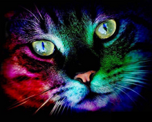 Carregar imagem no visualizador da galeria, Gato no Escuro - 100% Diamantes (Kit Completo)

