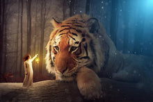 Carregar imagem no visualizador da galeria, Tigre Iluminado 5 - 100% Diamantes (Quadrado) - Kit Completo
