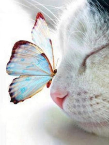 Gatinho e a Borboleta 2023/5 - 100% Diamantes (Quadrados) - Kit Completo - Pintura em Diamantes