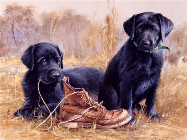 Dog Natureza - 100% Diamantes (Kit Completo)