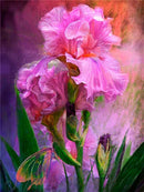 Flores 2023/3 - 100% Diamantes (Quadrado) - Kit Completo - Pintura com Diamantes