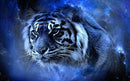 Tigre Iluminado 10 - 100% Diamantes (Quadrado) - Kit Completo