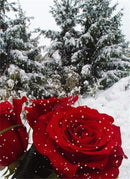 Flores 5 - 100% Diamantes (Kit Completo)