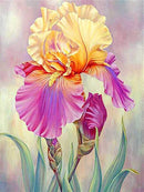 Flores 2023/10 - 100% Diamantes (Quadrado) - Kit Completo - Pintura com Diamantes