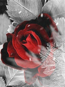 Flores 13 - 100% Diamantes (Kit Completo)