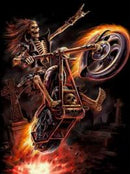 Motoqueiro Selvagem - 100% Diamantes (Kit Completo)
