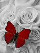 Flores 14 - 100% Diamantes (Kit Completo)
