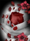 Flores 11 - 100% Diamantes (Kit Completo)