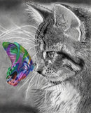 Gatinho e a Borboleta 2023/4 - 100% Diamantes (Quadrados) - Kit Completo - Pintura em Diamantes