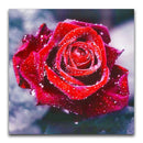 Flores 27 - 100% Diamantes (Kit Completo)