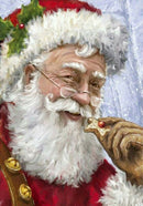 Papai Noel 12 - 100% Diamantes (Kit Completo)