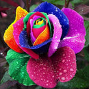Flores 25 - 100% Diamantes (Kit Completo)