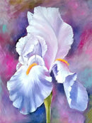 Flores 2023/8 - 100% Diamantes (Quadrado) - Kit Completo - Pintura com Diamantes