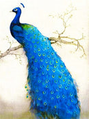 Pavão 2023/8 - 100% Diamantes (Quadrado) - Kit Completo - Pintura com Diamantes