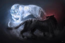Tigre Iluminado 3 - 100% Diamantes (Quadrado) - Kit Completo