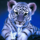 Tigre Fofo - 100% Diamantes (Kit Completo)