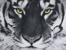 Tigre-De-Bengala - 100% Diamantes (Kit Completo)