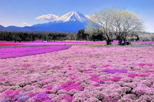 Carregar imagem no visualizador da galeria, Super Paisagem 3 - 100% Diamantes (Quadrado) - Kit Completo
