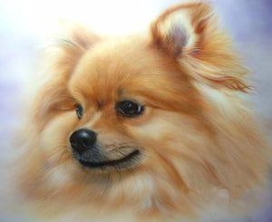 Lulu da Pomerânia - 100% Diamantes (Kit Completo)