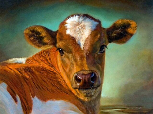 Bela Vaca - 100% Diamantes (Kit Completo) - Pintura com Diamantes