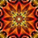 Mandala Magnífica 2 - 100% Diamantes (Quadrado) - Kit Completo