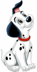 Dalmata 2023/2 - 100% Diamantes (Quadrado) - Kit Completo - Pintura com Diamantes