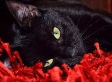 Carregar imagem no visualizador da galeria, Gato Preto - 100% Diamantes (Kit Completo)
